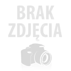 Akumulator żelowy trakcyjny BANNER DRY BULL DB 6/240 6V 240Ah